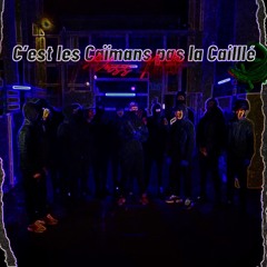 MDC (NASS) - C’est Les Caïmans Pas La Caillé