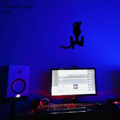 Chelsea Cutler - Please (Nepsa Remix)