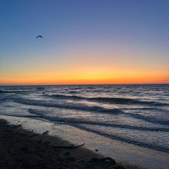 Bluempa - West Coast