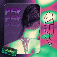 Sik-K - FLY (PRAVE FLIP)