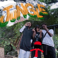 WELCOME TO THE JUNGLE