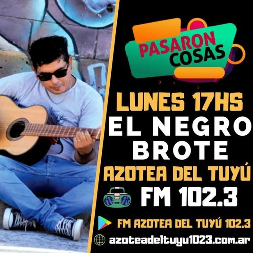 entrevista en Pasaron Cosas - FM 102.3 Azotea del Tuyu