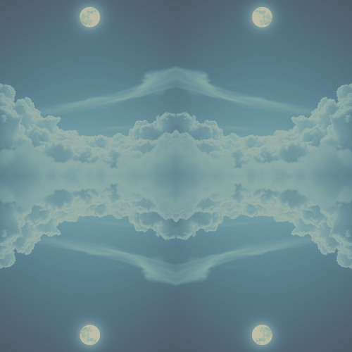 Rave Shadow Bloom #870