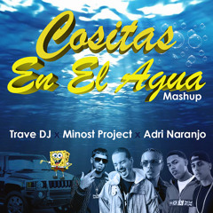 Varios Artistas - Cositas En El Agua (Trave DJ x Minost Project x Adri Naranjo Mashup)