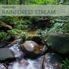 Sounds of Wild Thailand IV: Rainforest Stream