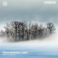 Liquid Memoirs & Arkii - Feeling Good