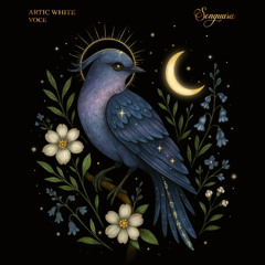 PREMIERE: Artic White - Voce [Songuara]
