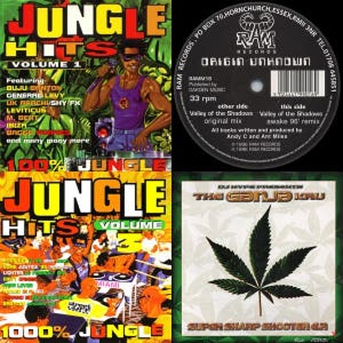 Jungle is massive