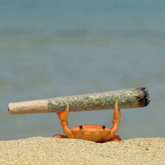 Manuel és Azahriah belefingott a micba (AFRO HOUSE REMIX)