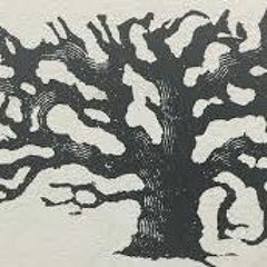 Signs, Cures, & Hexes