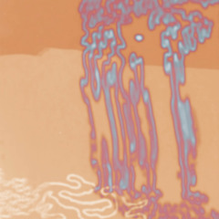 Premiere: Jin Synth - Wonderful Land