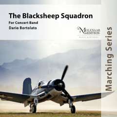 Black Sheep Squadron - Dario Bortolato