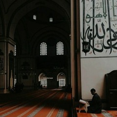 سورة المزمل.