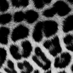 run yo pack [prettyclxud]