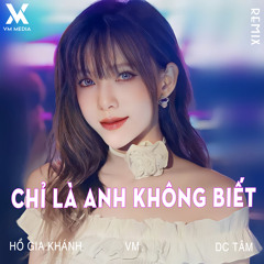 Chỉ Là Anh Không Biết (Remix)