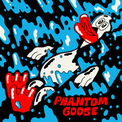 Phantom Goose
