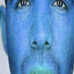 drake blud werkz