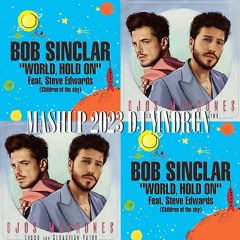 Bob Sinclar & FISHER vs. Lasso - World Hold On vs. Ojos Marrones (dj mndrgn mashup remix 2023)