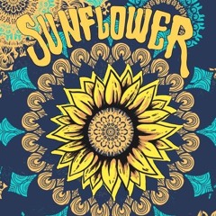 [PROMO SUNFLOWER GATHERING]EndlessSpace & Psychomotorica