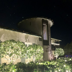 The Dark Forest Lord (Remake🌲)