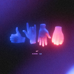 TAIGA - Hands Up