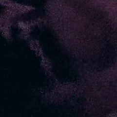 Destroy Lonely - Loaded Up *GRAIL*