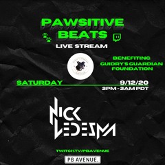 Nick Ledesma Live @ Pawsitive Beats Charity Livestream 09.12.20