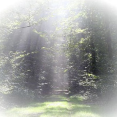 sekundenschlaf [spotify] prod. rubbish