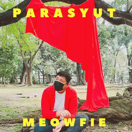 Meowfie - Parasyut