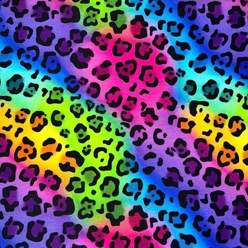 🐱🌈 || 𝘼 𝙎𝙘𝙚𝙣𝙚𝙘𝙤𝙧𝙚/𝙂𝙤𝙧𝙚𝙘𝙤𝙧𝙚 𝙋𝙡𝙖𝙮𝙡𝙞𝙨𝙩 ‼️