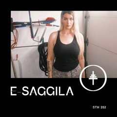 STM 252 - E-Saggila