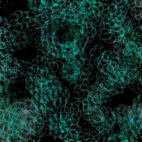 In Dreams Absurd (guitar demo)