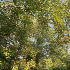 RACE AGAINST NOTHING by BabyRa