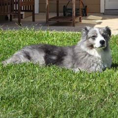 and.so lifts up 020 (Techlift)