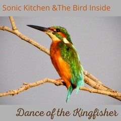 DANCE OF THE KING FISHER (WITH SONIC KITCHEN)
