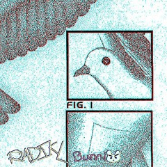 blank banshee - MINDTRAP (RADIKLBUNNI RMX)