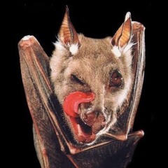 night 5 -OST no, i’m not human