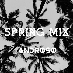 ANDROSO - Spring Mix