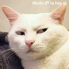 Nơi Tình Yêu Bắt Đầu X Nơi Tình Yêu Kết Thúc Phong Con Remix Lạc Mất Lối Remix
