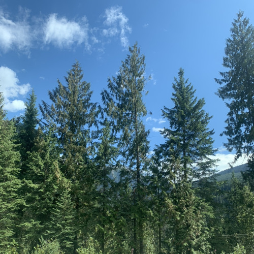 Stream Jerma Corecore By Thedinkler Listen Online For Free On Soundcloud