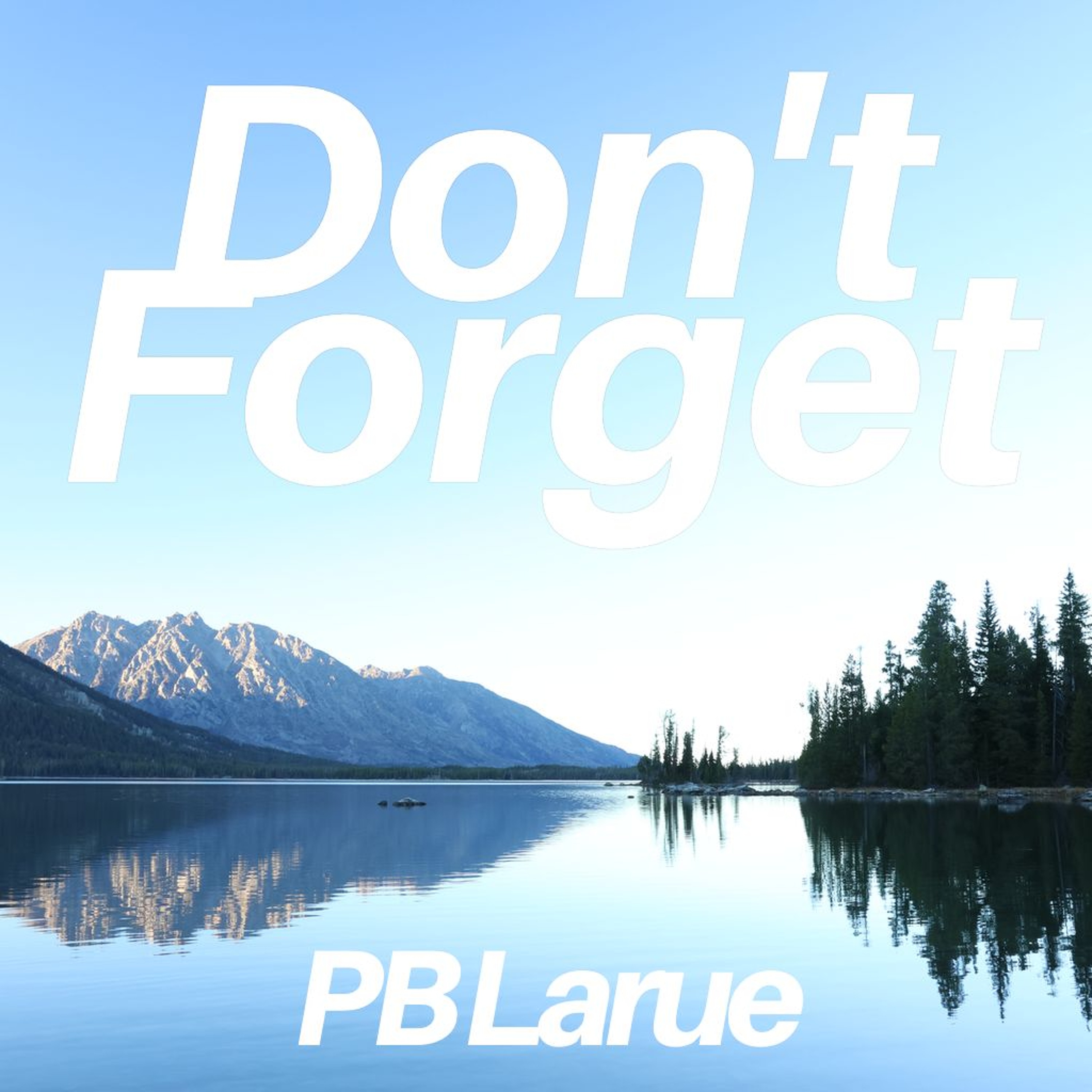 Don't Forget episode artwork