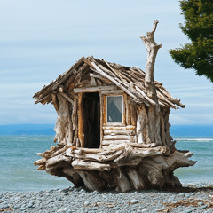 driftwood days