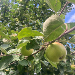 jeder track könnte ein letzter sein, egal ich werd kickboxer