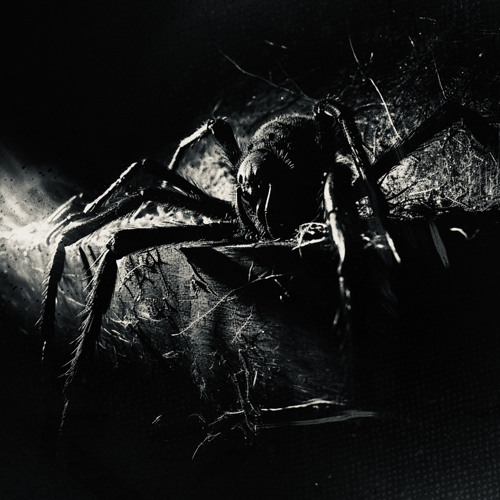 DEVOUR MY DEMONS (ARAGOTH REMIX)