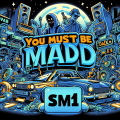 SM1-You must be mad
