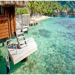 Are you searching for Bora Bora trip on web and planning for vacation?
