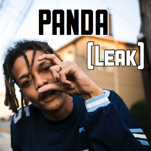 Panda Remix (Leak)-Squidnice