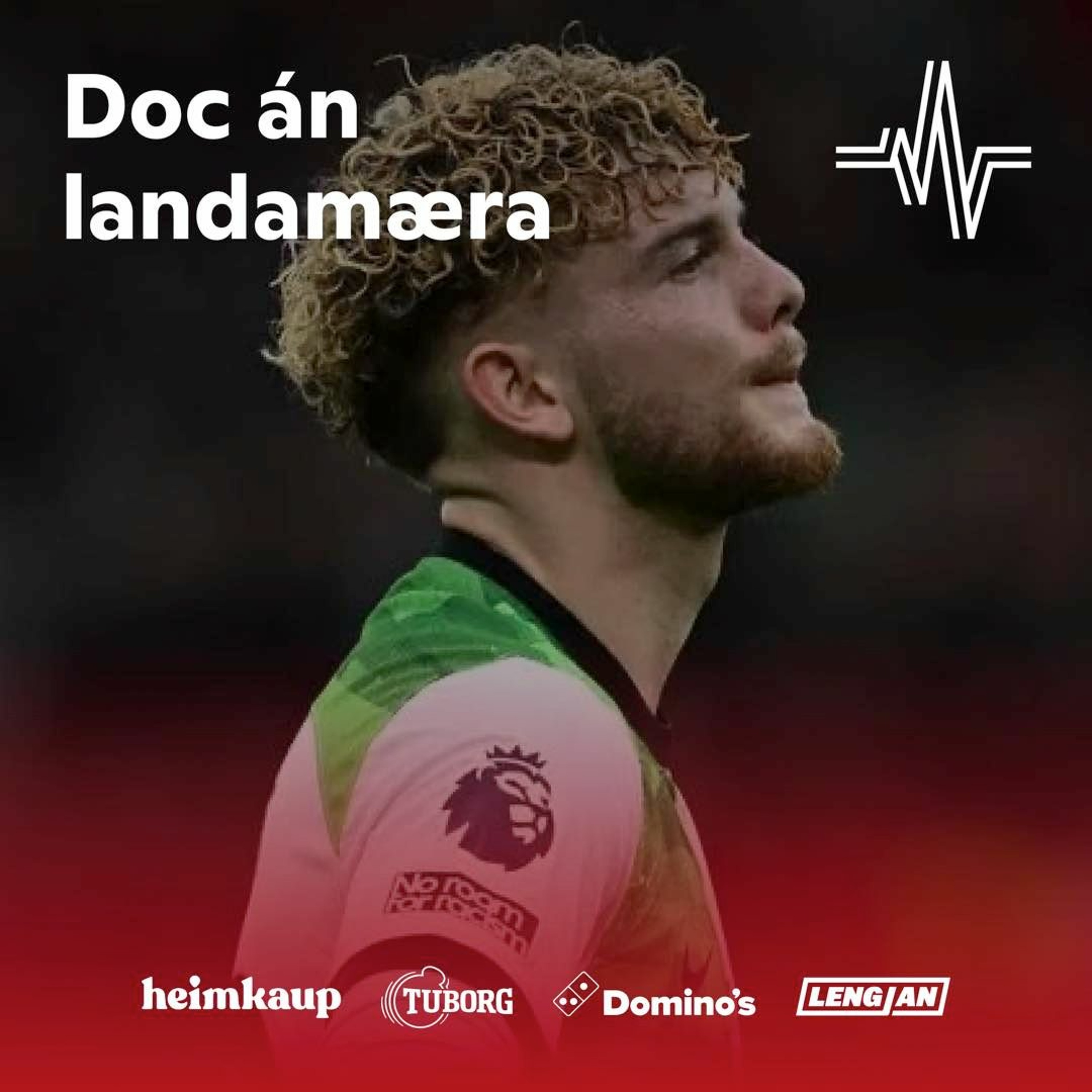 Doc án landamæra - Þegar Teddi hitt Harvey