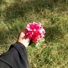 Mecnun💐💞speed-up