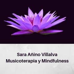 Escaner - Corporal - Def